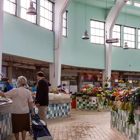 Stupendo- Two Rooms, Patio With Refreshing Pond-center-air Conditioning